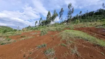 Imagem do anúncio: Vendo Fazenda / Sítio / Chácara Em Iomerê, Santa Catarina No Bairro Interior - Cód. ad2535eb024c85a58d72f563369b9f03