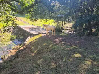 Imagem do anúncio: Vendo Fazenda / Sítio / Chácara Em Videira, Santa Catarina No Bairro Interior - Cód. 2df103bb45ddfafc5f5b58bc4ec604ec