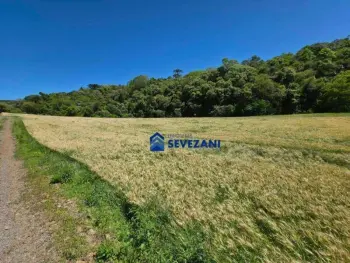 Imagem do anúncio: Vendo Fazenda / Sítio / Chácara Em Iomerê, Santa Catarina No Bairro Interior - Cód. 37f1bc226e158e3441adb721b43b331d