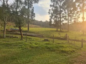 Imagem do anúncio: Vendo Fazenda / Sítio / Chácara Em Rio Das Antas, Santa Catarina No Bairro Interior - Cód. 0a7798e9f5499f95231e0322eaa9b07e