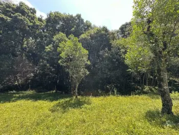 Imagem do anúncio: Vendo fazenda / sítio / chácara em Catanduvas , Santa Catarina no bairro Sayonara - Cód. 9f9a950f784743d5cd1c6aa320993a84