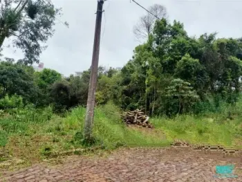 Imagem do anúncio: Vendo Terreno / Lote / Condomínio Em Videira, Santa Catarina No Bairro São Francisco - Cód. 1e47ac6dfe31d653a8dc4447bf62622e