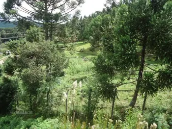 Imagem do anúncio: Vendo Terreno / Lote / Condomínio Em Caçador, Santa Catarina No Bairro Alto Bonito - Cód. 16add5a9d58fd1ef8fd7f9447736f4e1