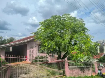 Imagem do anúncio: Vendo Casa Em Caçador, Santa Catarina No Bairro Santa Catarina - Cód. 88b01128e41377b3e67e5443fdb0c7dc