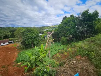 Imagem do anúncio: Terreno / Lote / Condomínio Em Videira, Santa Catarina No Bairro Cetrevi - Cód. ec9ac36cffb25400dcfe19a0bddcb3cb
