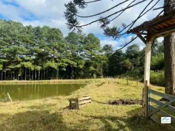 Imagem do anúncio: Vendo Fazenda / Sítio / Chácara Em Caçador, Santa Catarina No Bairro Linha Faxinal São Pedro - Cód. 3b471085d6126fc7e61a26b72d98532c