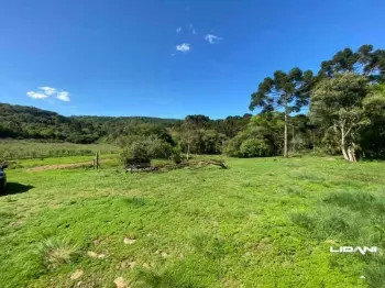 Imagem do anúncio: Vendo Fazenda / Sítio / Chácara Em Caçador, Santa Catarina No Bairro Interior - Cód. 672c1db2398aa83c4897c87e3e87ef70
