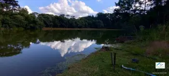 Imagem do anúncio: Vendo Fazenda / Sítio / Chácara Em Caçador, Santa Catarina No Bairro Linha Caixa D'Água - Cód. c6e3953dc7845d1bd54f9111fcd383df