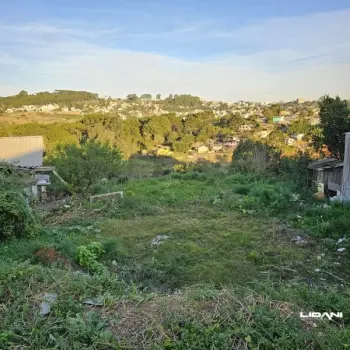 Imagem do anúncio: Vendo Terreno / Lote / Condomínio Em Caçador, Santa Catarina No Bairro Gioppo - Cód. 337f61a6a46a894e847ed2c829bd6e04
