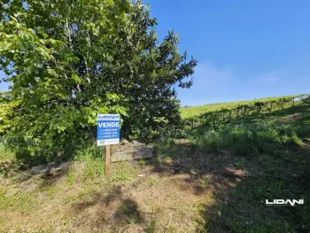 Imagem do anúncio: Vendo Fazenda / Sítio / Chácara Em Caçador, Santa Catarina No Bairro Linha Cará - Cód. 6e1a3db5338386e3790a5099035c418f