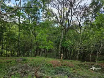 Imagem do anúncio: Vendo Fazenda / Sítio / Chácara Em Joaçaba, Santa Catarina No Bairro Nova Petrópolis - Cód. 9ff6e80604d115a8c454bb148a5f17e5