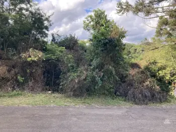 Imagem do anúncio: Vendo Terreno / Lote / Condomínio Em Videira, Santa Catarina No Bairro Centro - Cód. ced458cbd9e46ad11ec4309037b8a8da
