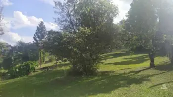 Imagem do anúncio: Vendo Terreno / Lote / Condomínio Em Videira, Santa Catarina No Bairro Recanto Da Natureza - Cód. b09c4b80b9b5fe4b928592c64ec4aff8