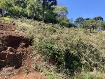 Imagem do anúncio: Vendo Terreno / Lote / Condomínio Em Videira, Santa Catarina No Bairro Marafon - Cód. 68e7f915e4935c82c2414c93a508a5d8