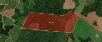 Imagem do anúncio: Vendo Fazenda / Sítio / Chácara Em Fraiburgo, Santa Catarina No Bairro Liberata - Cód. 2d957e3553efdcd77989da6ac46f56e5