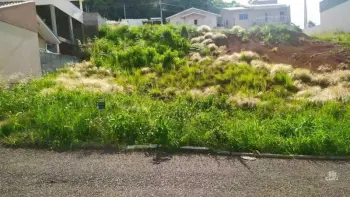 Imagem do anúncio: Vendo Terreno / Lote / Condomínio Em Videira, Santa Catarina No Bairro Recanto Da Natureza - Cód. 14c2f6111c68e8431f91de20a3a597a3