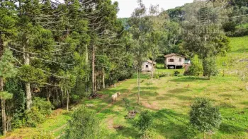 Imagem do anúncio: Vendo Fazenda / Sítio / Chácara Em Caçador, Santa Catarina No Bairro Linha Rio Bugre - Cód. 50bd3a2837dc1b6d45f9411b0e70bb49