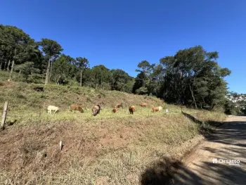 Imagem do anúncio: Vendo Terreno / Lote / Condomínio Em Videira, Santa Catarina No Bairro Farroupilha - Cód. e940e48ca7f6c0cdb5181544efd8d10a