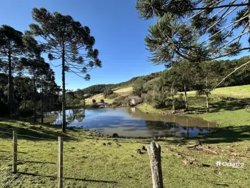 Imagem do anúncio: Vendo Fazenda / Sítio / Chácara Em Tangará, Santa Catarina No Bairro Linha Caravaginho - Cód. 3fcc9ed448c4e13c5ca1a2f1584ecbb5