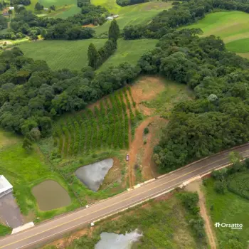 Imagem do anúncio: Vendo Fazenda / Sítio / Chácara Em Videira, Santa Catarina No Bairro Linha São Roque - Cód. 9afbccde061999526388385d814f45ac