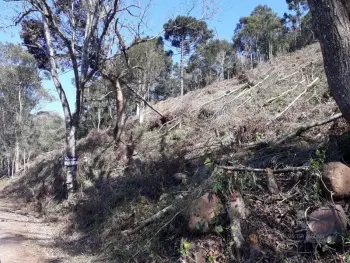 Imagem do anúncio: Vendo Fazenda / Sítio / Chácara Em Herval Do Oeste, Santa Catarina - Cód. 142eeb3560caddd8731e6c3375d861c4