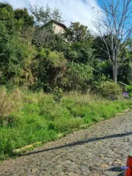 Imagem do anúncio: Vendo Terreno / Lote / Condomínio Em Videira, Santa Catarina No Bairro Floresta - Cód. 4b227d610b15809dcf02ab27372c047e