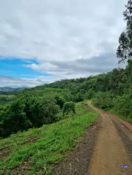 Imagem do anúncio: Vendo Fazenda / Sítio / Chácara Em Videira, Santa Catarina No Bairro Farroupilha - Cód. 793db06d320a1f2ace23b9cba94ae56c