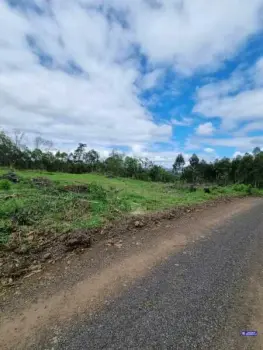 Imagem do anúncio: Vendo Fazenda / Sítio / Chácara Em Videira, Santa Catarina No Bairro Farroupilha - Cód. f78b637ca7699bdf55b7f37b01a13a83