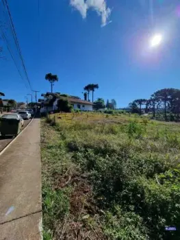 Imagem do anúncio: Vendo Terreno / Lote / Condomínio Em Treze Tílias, Santa Catarina No Bairro Centro - Cód. 2d4d2327e71f227b5685c20a09d34fec