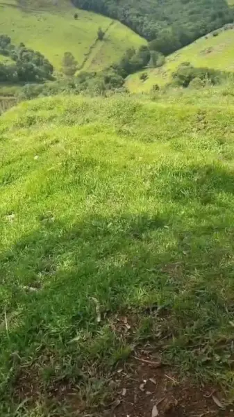 Imagem do anúncio: Vendo Fazenda / Sítio / Chácara Em Herval Do Oeste, Santa Catarina No Bairro Interior - Cód. 0868656fd06463d3a3707c5a3c1f5493