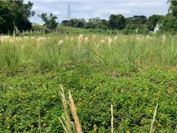 Imagem do anúncio: Vendo Terreno / Lote / Condomínio Em Joaçaba, Santa Catarina No Bairro Nossa Senhora De Fátima - Cód. 3783f82dfe6bfba874d4206d54fc26d6