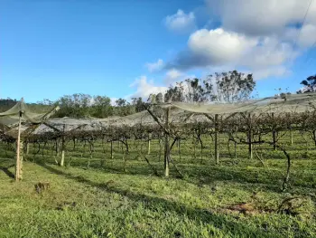 Imagem do anúncio: Vendo Fazenda / Sítio / Chácara Em Joaçaba, Santa Catarina No Bairro Nova Petrópolis - Cód. bba7efeb0f1679cca648066ac5e09ca2