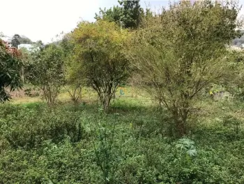 Imagem do anúncio: Vendo Terreno / Lote / Condomínio Em Joaçaba, Santa Catarina No Bairro Centro - Cód. cf9865b2d0c53fb8debe55f0e5c1c5cd