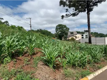 Imagem do anúncio: Vendo Terreno / Lote / Condomínio Em Joaçaba, Santa Catarina No Bairro Nossa Senhora De Fátima - Cód. 746ca768acc56720bd2c68934866eba1