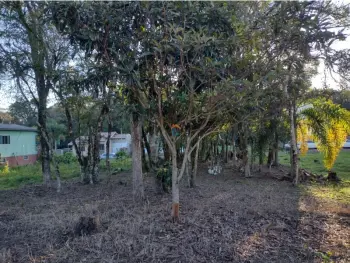 Imagem do anúncio: Vendo Terreno / Lote / Condomínio Em Joaçaba, Santa Catarina No Bairro Frei Bruno - Cód. 91eeef7e974a56a4a96261f4be0c8be8
