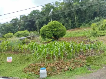 Imagem do anúncio: Vendo Terreno / Lote / Condomínio Em Lacerdópolis, Santa Catarina No Bairro Centro - Cód. 22c65dbba548c7785327df586a2387ed