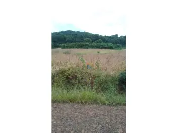 Imagem do anúncio: Vendo Fazenda / Sítio / Chácara Em Herval Do Oeste, Santa Catarina No Bairro Linha Boa Esperança - Cód. e816c27810bbfd929f28acfabb6c6f0b
