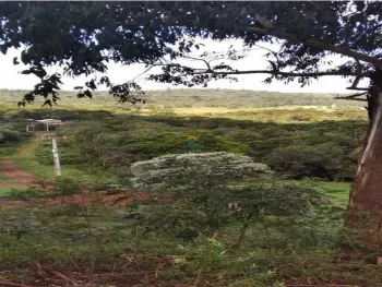 Imagem do anúncio: Vendo Fazenda / Sítio / Chácara Em Joaçaba, Santa Catarina No Bairro Santa Clara Baixa - Cód. 45a3db3c329ef7aedd9922beaa747996