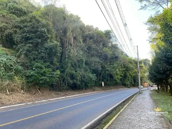 Imagem do anúncio: Vendo Terreno / Lote / Condomínio Em Videira, Santa Catarina No Bairro Rua XV De Novembro - Cód. 76789f4224b491b573ea5df29336b764