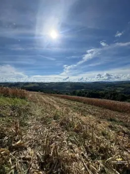 Imagem do anúncio: Vendo Fazenda / Sítio / Chácara Em Videira, Santa Catarina No Bairro  Iomerê - Cód. a2186a7509799187ed95064455be65cf