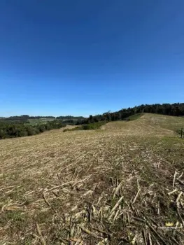 Imagem do anúncio: Vendo Fazenda / Sítio / Chácara Em Videira, Santa Catarina No Bairro Rio Das Pedras - Cód. 01dd507a3ab0eee6ec3450bfdcea54f4