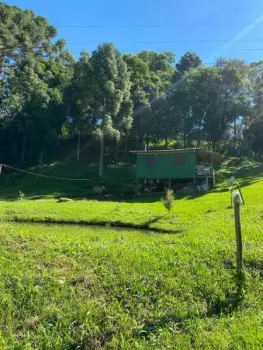 Imagem do anúncio: Vendo fazenda / sítio / chácara em Videira , Santa Catarina no bairro Linha XV de Novembro - Cód. 3c7170e8e768f0523390584d5c5248b6