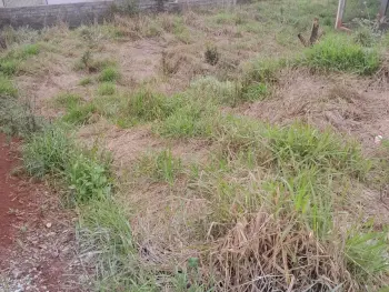 Imagem do anúncio: Vendo Terreno / Lote / Condomínio Em Videira, Santa Catarina No Bairro Cetrevi - Cód. ec3a8a2ccc765e961d182ef41c6e4416