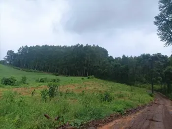 Imagem do anúncio: Vendo Fazenda / Sítio / Chácara Em Tangará, Santa Catarina No Bairro Linha Irakitan - Cód. 3c24c3b3e56226eb86fc6e6ff2a77b32