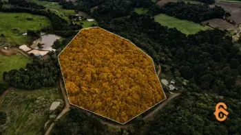 Imagem do anúncio: Vendo Fazenda / Sítio / Chácara Em Caçador, Santa Catarina No Bairro Interior - Cód. 6c4888203cf329bf32155f53bc458f1a