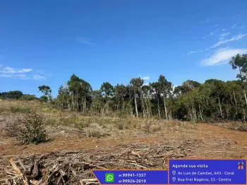 Imagem do anúncio: Vendo Fazenda / Sítio / Chácara Em Lages, Santa Catarina No Bairro Capão Alto - Cód. b19ccde592d8f91323a45fa7a60c47ff