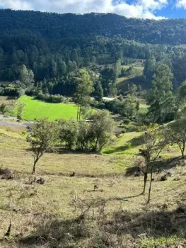 Imagem do anúncio: Vendo Fazenda / Sítio / Chácara Em Urubici, Santa Catarina No Bairro Rio Do Engano - Cód. f307539e77a035a3b56e641c40907506
