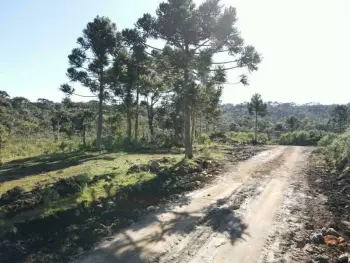 Imagem do anúncio: Vendo terreno / lote / condomínio em Rio Rufino , Santa Catarina no bairro Interior - Cód. 9d8ff969a168f6af0579b714009cb452