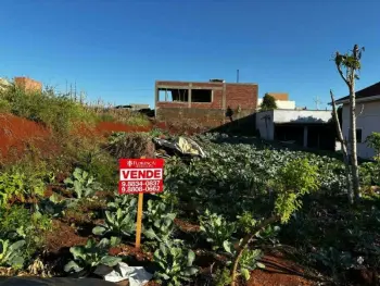 Imagem do anúncio: Vendo Terreno / Lote / Condomínio Em Pinhalzinho, Santa Catarina No Bairro Pioneiro - Cód. e2338bcc4775ce092e0f241e613db698