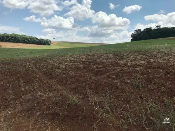 Imagem do anúncio: Vendo Fazenda / Sítio / Chácara Em Xanxerê, Santa Catarina No Bairro Interior - Cód. 2c084b736e78821b8d0ad410f40a733a